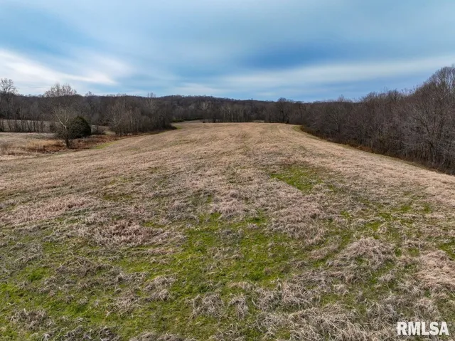 $395,000 | 0 State Route 147 Highway, Simpson, IL 62985