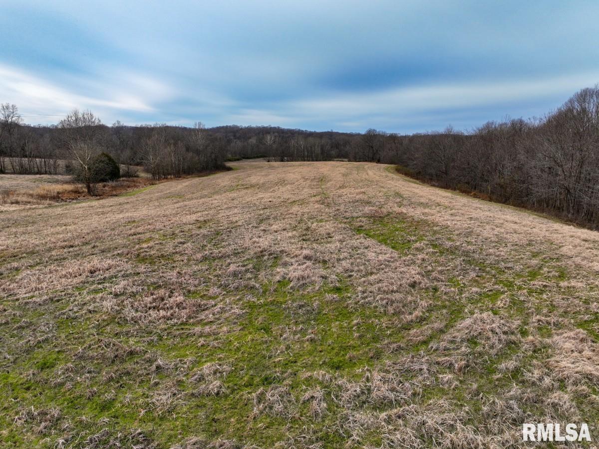 0 State Route 147 Highway Simpson, IL 62985 - Photo 12 of 53
