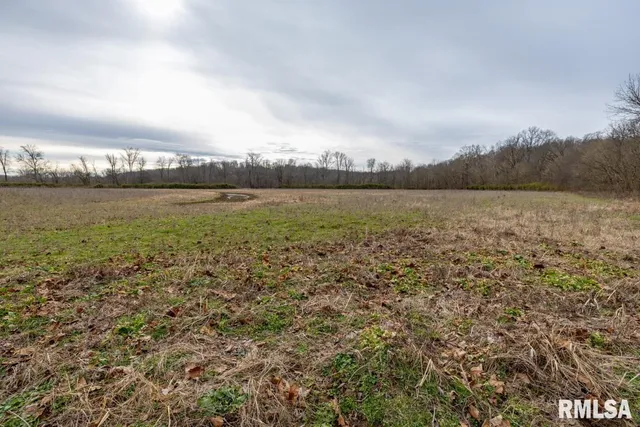 $395,000 | 0 State Route 147 Highway, Simpson, IL 62985