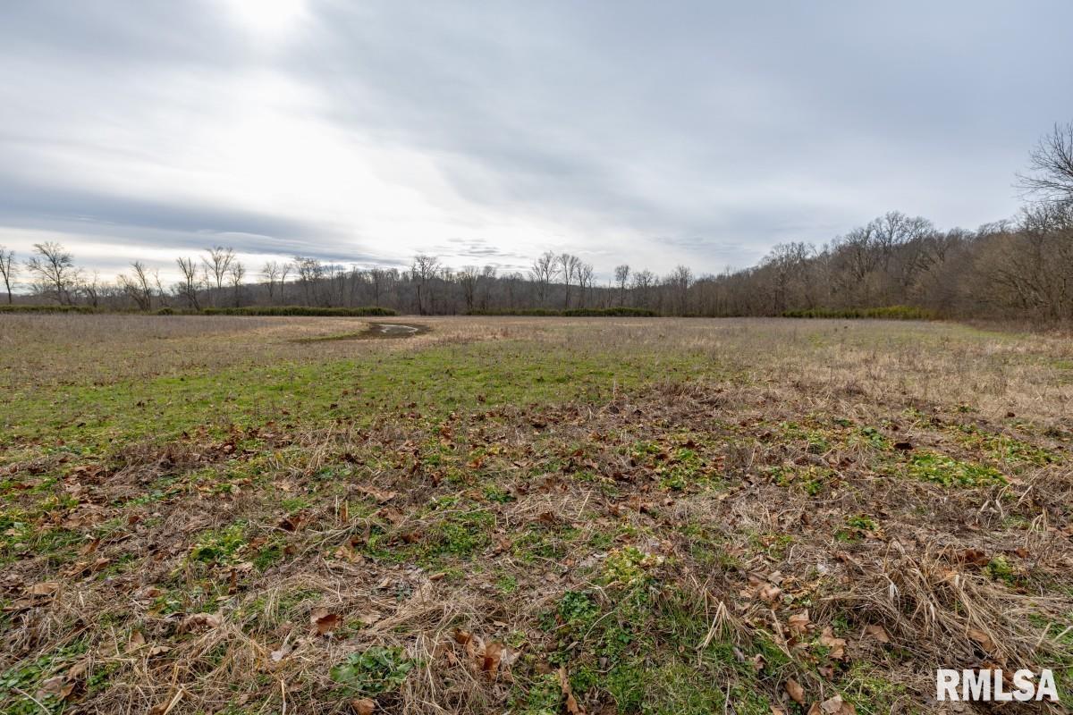 0 State Route 147 Highway Simpson, IL 62985 - Photo 13 of 53