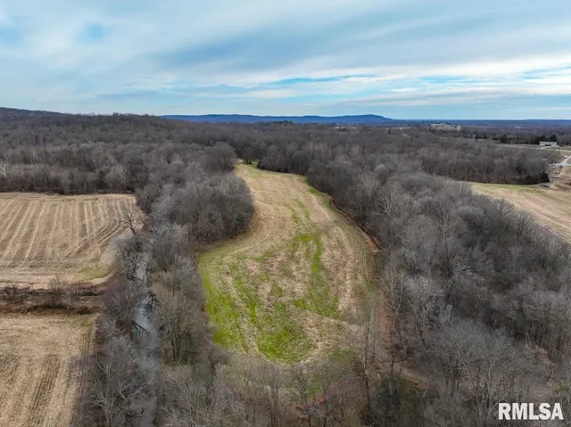 $395,000 | 0 State Route 147 Highway, Simpson, IL 62985