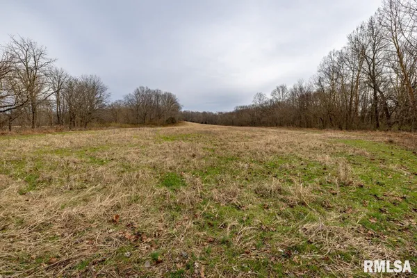 $375,000 | 0 State Route 147 Highway, Simpson, IL 62985