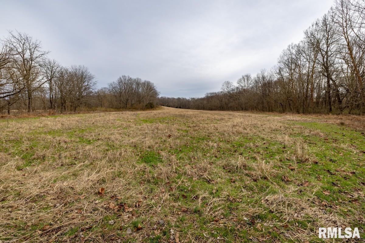 0 State Route 147 Highway Simpson, IL 62985 - Photo 15 of 53