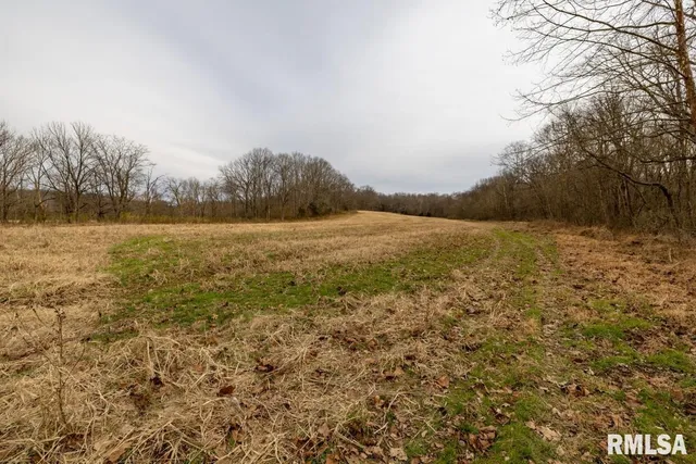 $395,000 | 0 State Route 147 Highway, Simpson, IL 62985