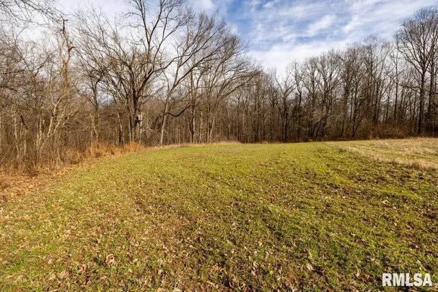 $395,000 | 0 State Route 147 Highway, Simpson, IL 62985