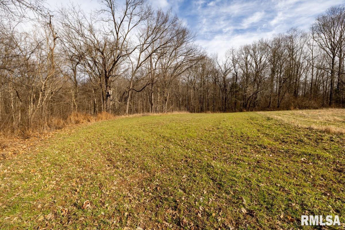 0 State Route 147 Highway Simpson, IL 62985 - Photo 17 of 53