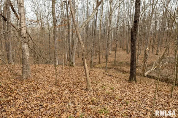 $375,000 | 0 State Route 147 Highway, Simpson, IL 62985