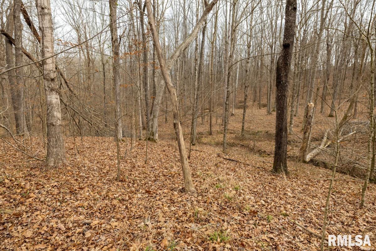 0 State Route 147 Highway Simpson, IL 62985 - Photo 20 of 53