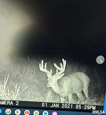 $395,000 | 0 State Route 147 Highway, Simpson, IL 62985