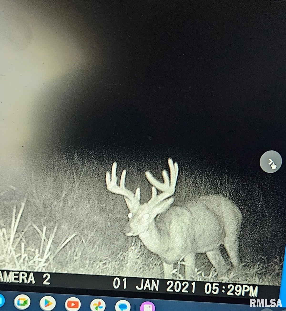 0 State Route 147 Highway Simpson, IL 62985 - Photo 2 of 53