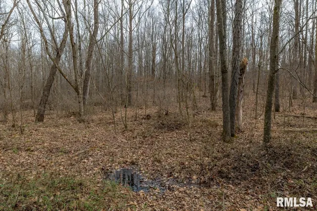 $395,000 | 0 State Route 147 Highway, Simpson, IL 62985