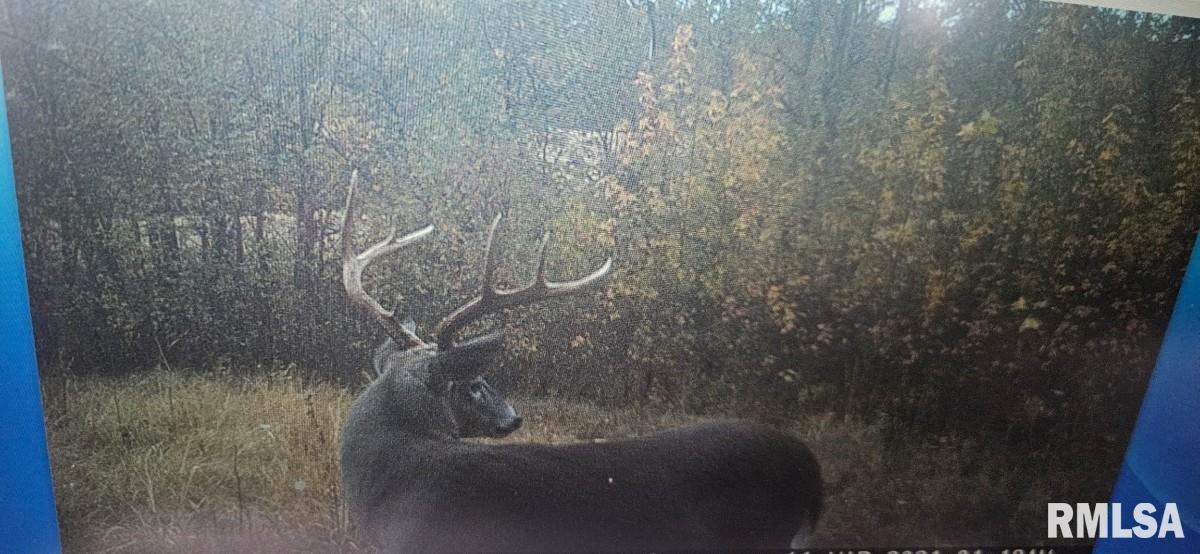 0 State Route 147 Highway Simpson, IL 62985 - Photo 25 of 53