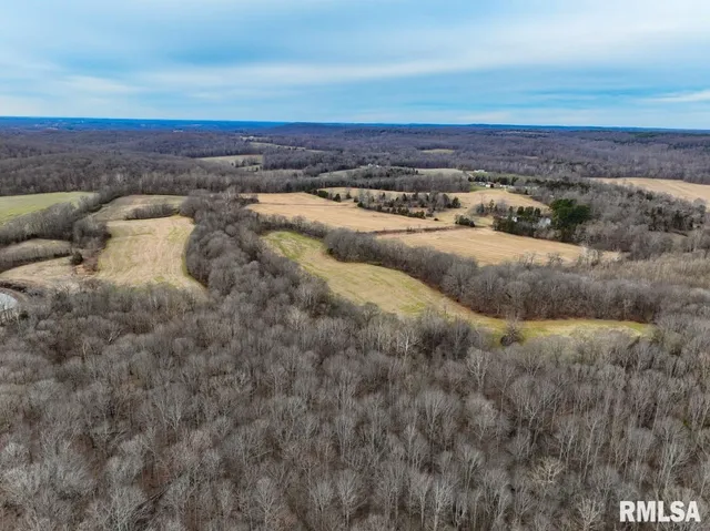 $395,000 | 0 State Route 147 Highway, Simpson, IL 62985