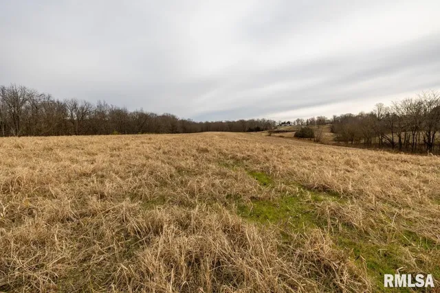 $395,000 | 0 State Route 147 Highway, Simpson, IL 62985