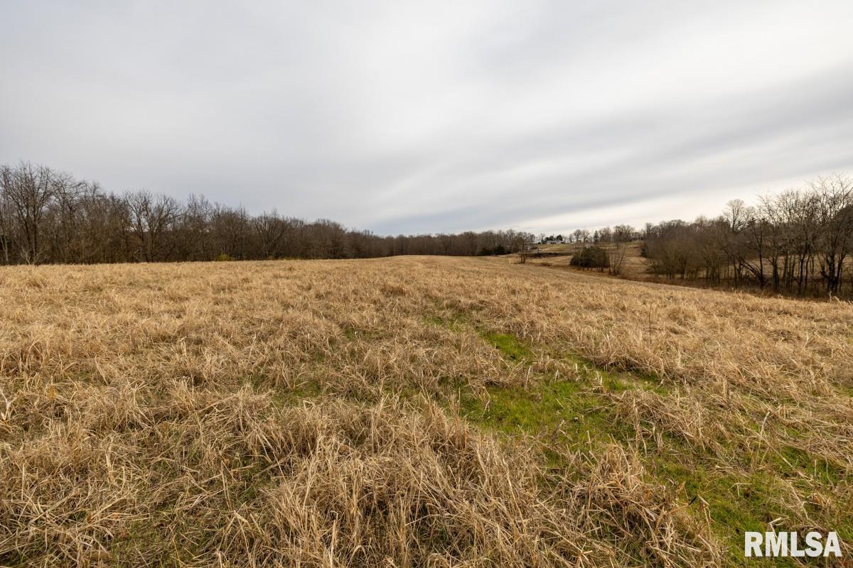 0 State Route 147 Highway Simpson, IL 62985 - Photo 28 of 53