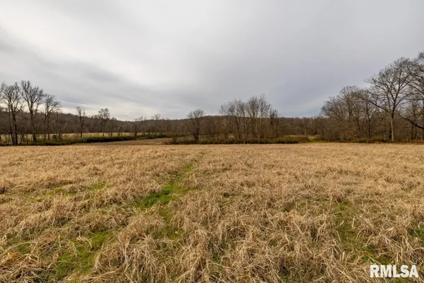 $375,000 | 0 State Route 147 Highway, Simpson, IL 62985