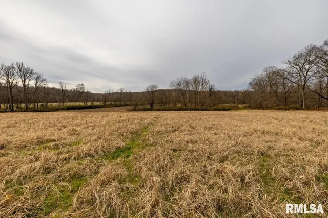 $395,000 | 0 State Route 147 Highway, Simpson, IL 62985