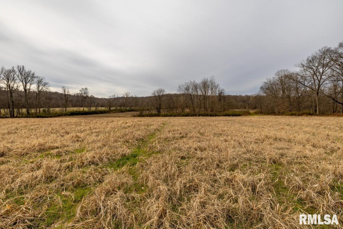 0 State Route 147 Highway Simpson, IL 62985 - Photo 30 of 53