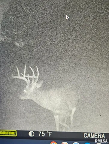 $395,000 | 0 State Route 147 Highway, Simpson, IL 62985