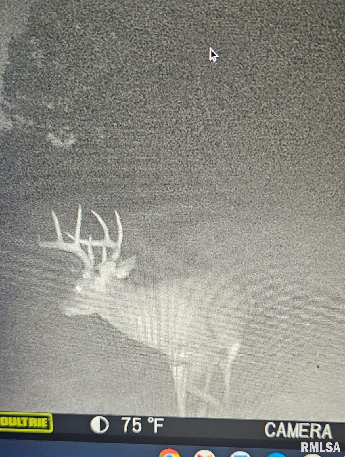 0 State Route 147 Highway Simpson, IL 62985 - Photo 3 of 53