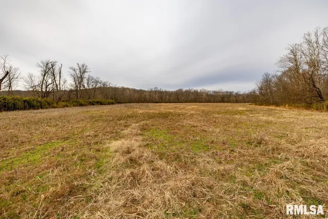 $395,000 | 0 State Route 147 Highway, Simpson, IL 62985