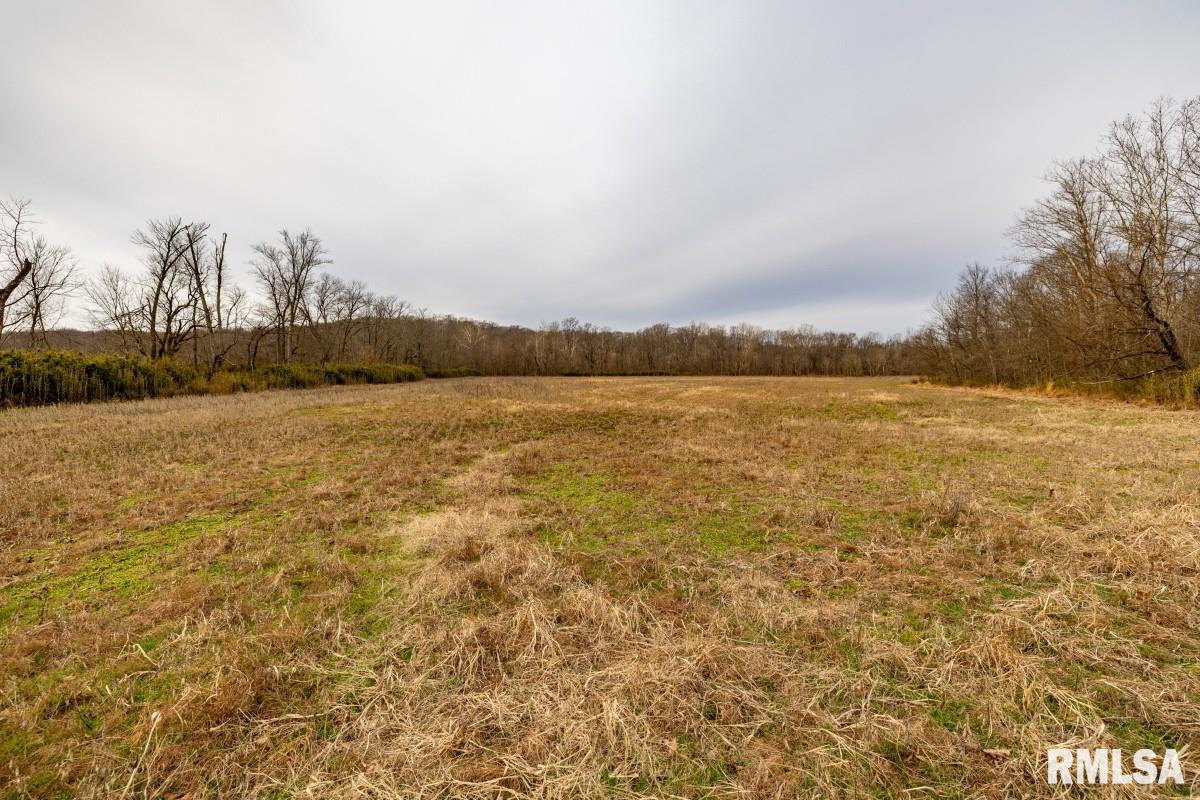 0 State Route 147 Highway Simpson, IL 62985 - Photo 31 of 53