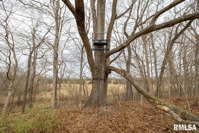 $395,000 | 0 State Route 147 Highway, Simpson, IL 62985