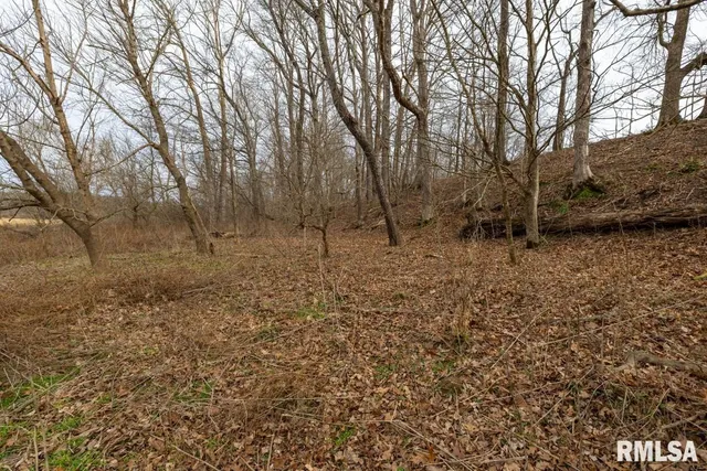 $395,000 | 0 State Route 147 Highway, Simpson, IL 62985