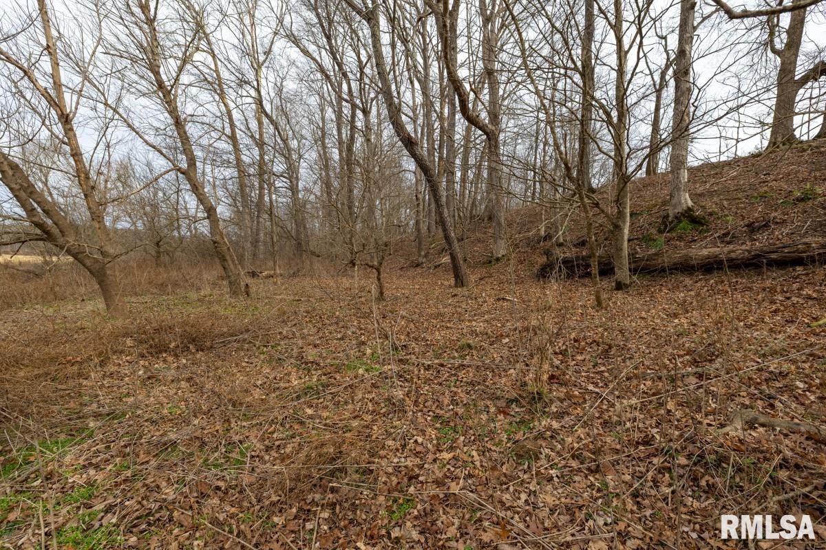 0 State Route 147 Highway Simpson, IL 62985 - Photo 36 of 53