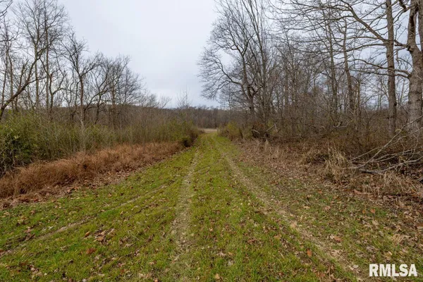 $375,000 | 0 State Route 147 Highway, Simpson, IL 62985