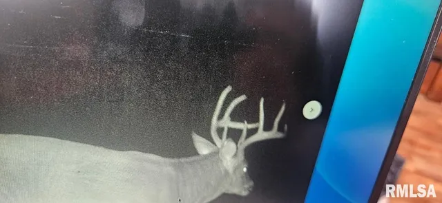 $395,000 | 0 State Route 147 Highway, Simpson, IL 62985