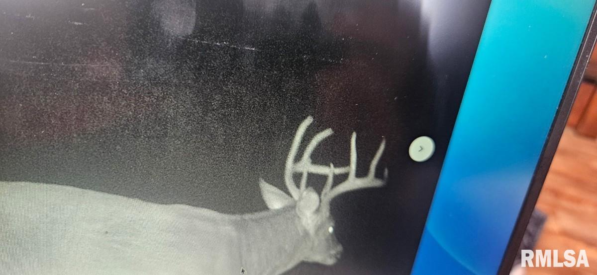 0 State Route 147 Highway Simpson, IL 62985 - Photo 38 of 53