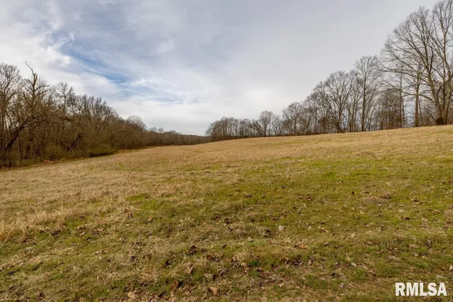 $395,000 | 0 State Route 147 Highway, Simpson, IL 62985