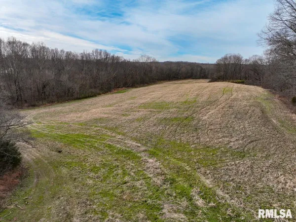$375,000 | 0 State Route 147 Highway, Simpson, IL 62985
