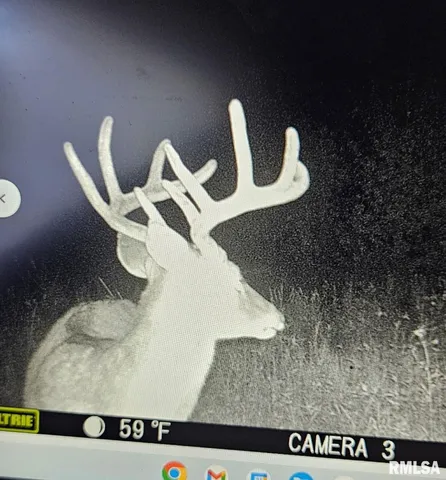 $395,000 | 0 State Route 147 Highway, Simpson, IL 62985