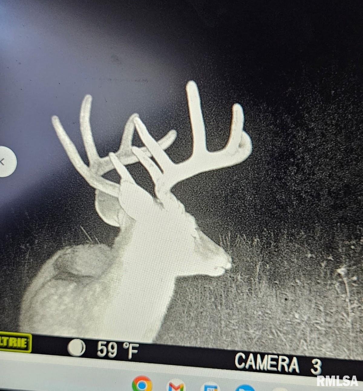 0 State Route 147 Highway Simpson, IL 62985 - Photo 4 of 53