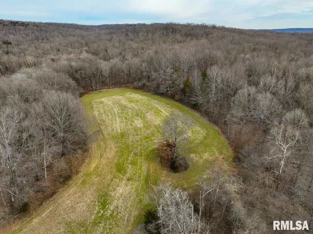 $395,000 | 0 State Route 147 Highway, Simpson, IL 62985