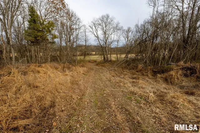 $395,000 | 0 State Route 147 Highway, Simpson, IL 62985