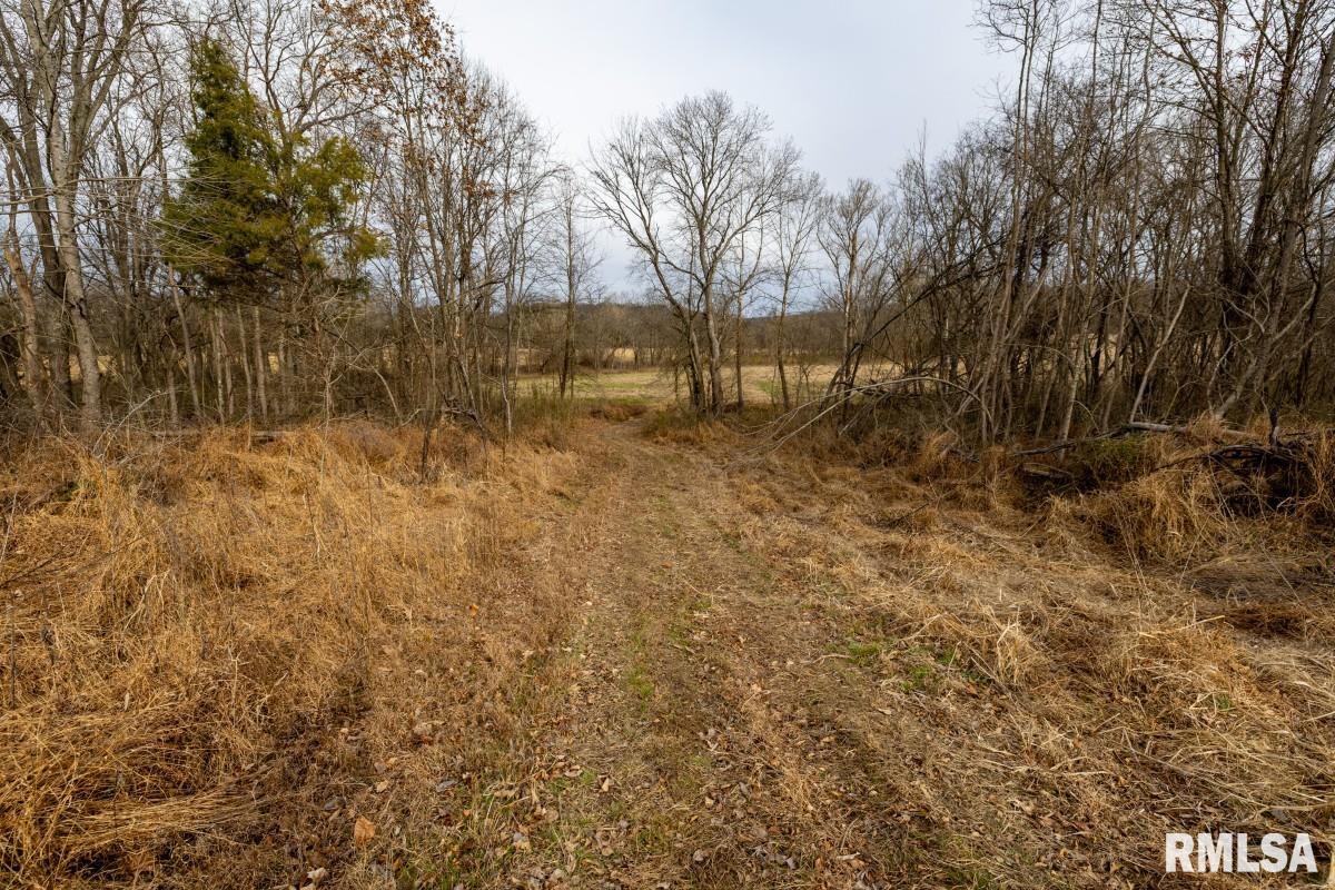 0 State Route 147 Highway Simpson, IL 62985 - Photo 43 of 53