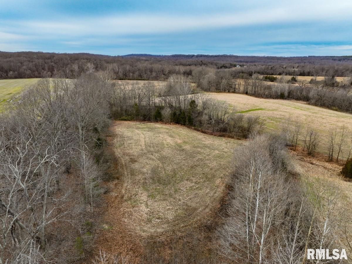 0 State Route 147 Highway Simpson, IL 62985 - Photo 44 of 53