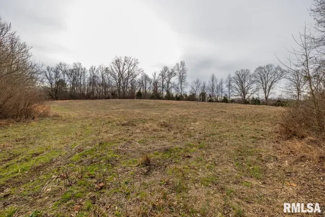 $395,000 | 0 State Route 147 Highway, Simpson, IL 62985