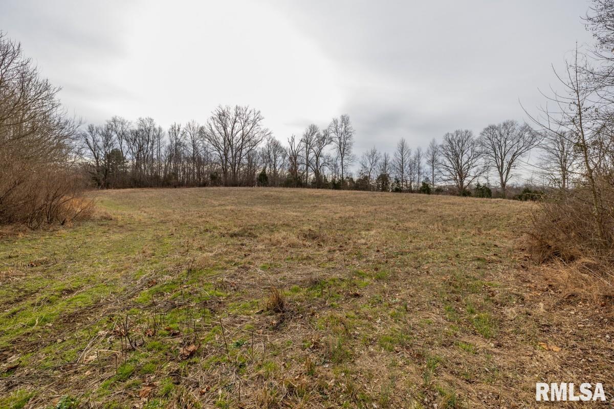 0 State Route 147 Highway Simpson, IL 62985 - Photo 45 of 53