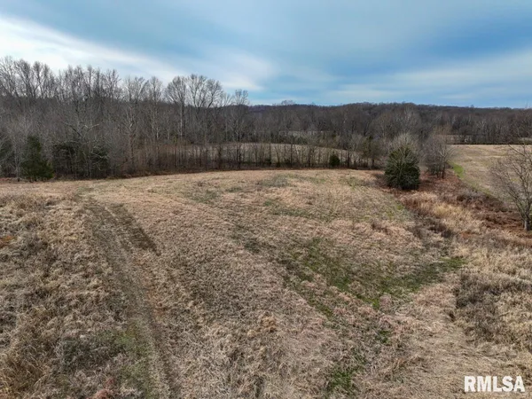 $375,000 | 0 State Route 147 Highway, Simpson, IL 62985