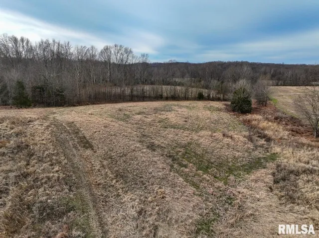 $395,000 | 0 State Route 147 Highway, Simpson, IL 62985