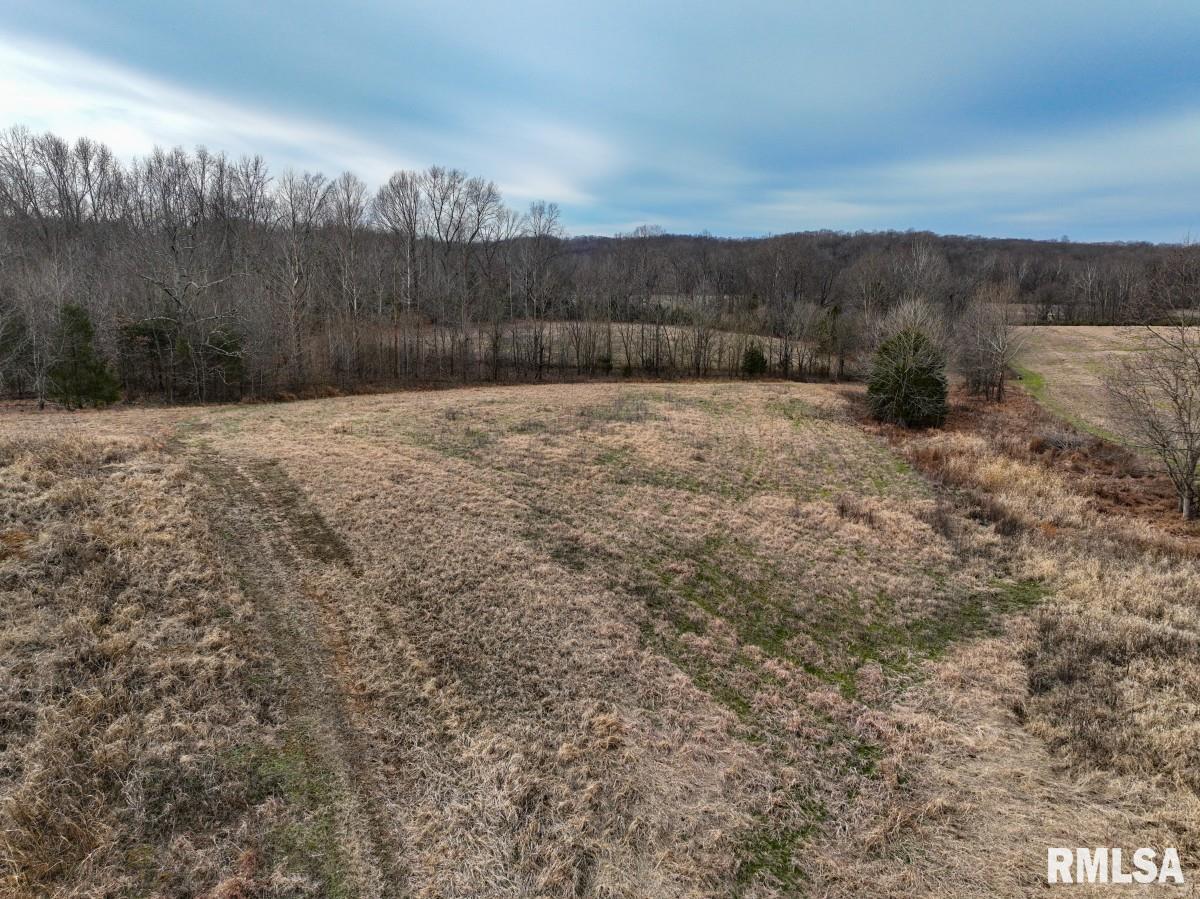 0 State Route 147 Highway Simpson, IL 62985 - Photo 46 of 53