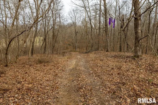 $395,000 | 0 State Route 147 Highway, Simpson, IL 62985