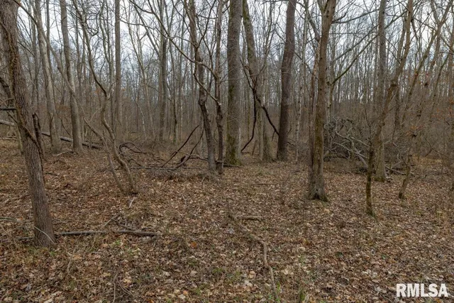 $395,000 | 0 State Route 147 Highway, Simpson, IL 62985