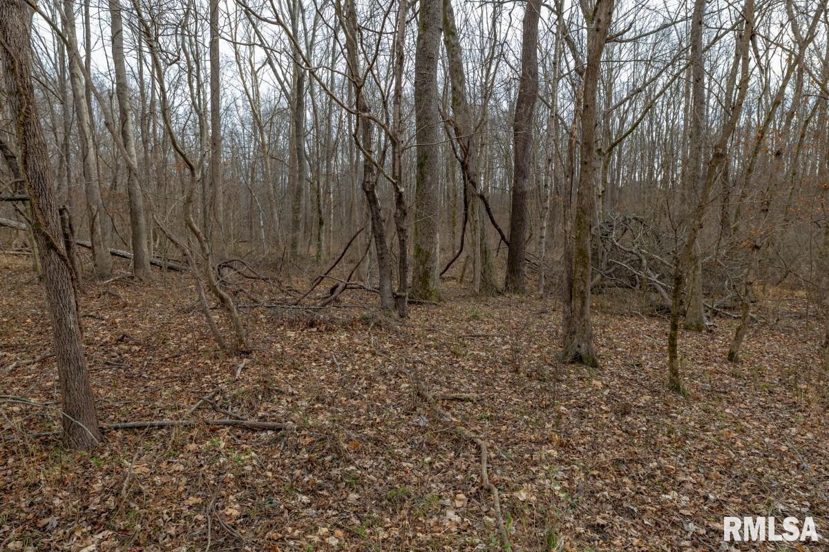 0 State Route 147 Highway Simpson, IL 62985 - Photo 48 of 53