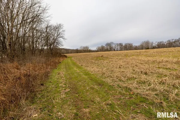 $375,000 | 0 State Route 147 Highway, Simpson, IL 62985