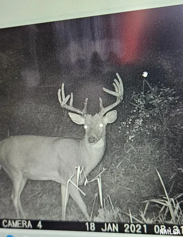 $395,000 | 0 State Route 147 Highway, Simpson, IL 62985